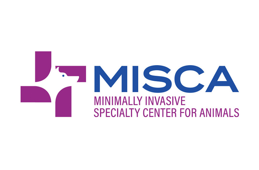 MISCA Logo